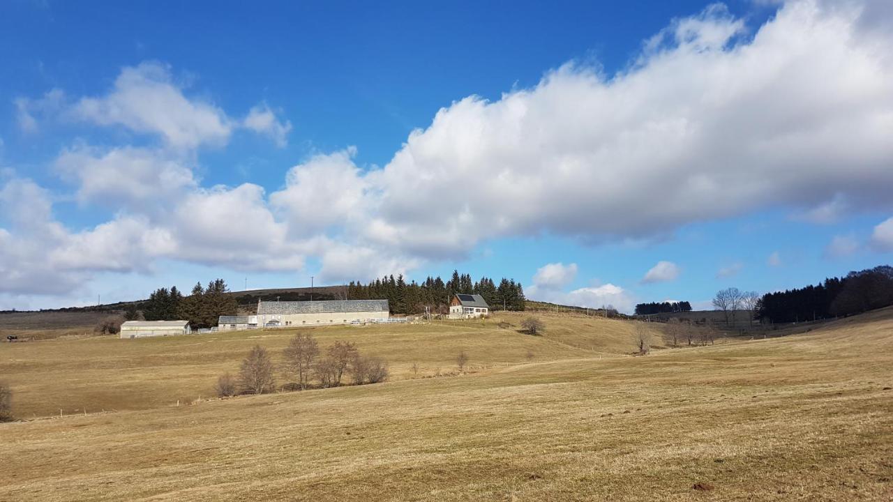 Bed and breakfast Horizon Aubrac Laguiole Extérieur photo