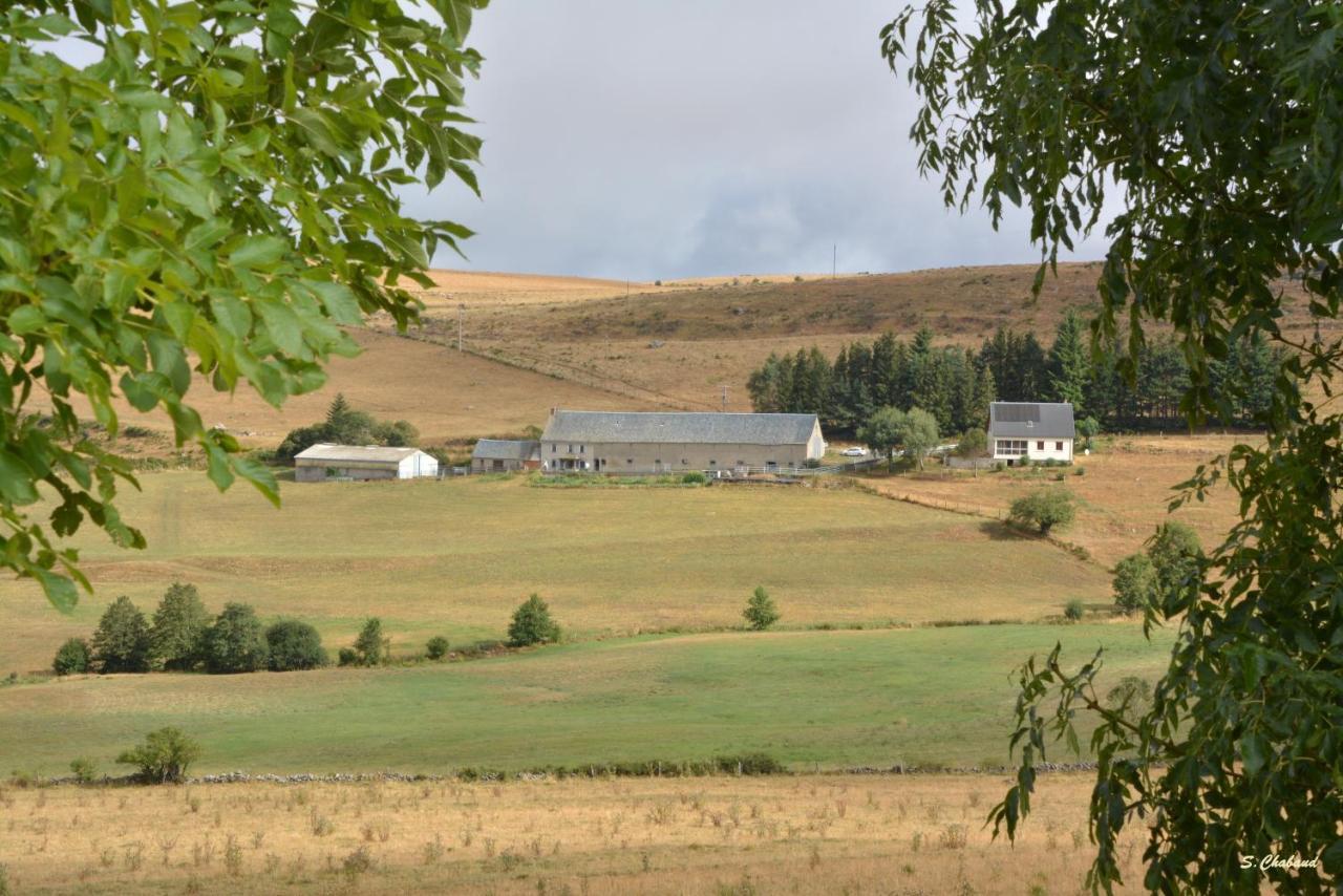 Bed and breakfast Horizon Aubrac Laguiole Extérieur photo
